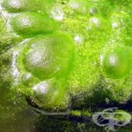 ����������� �������� �������� ������� � ������ �������� �����